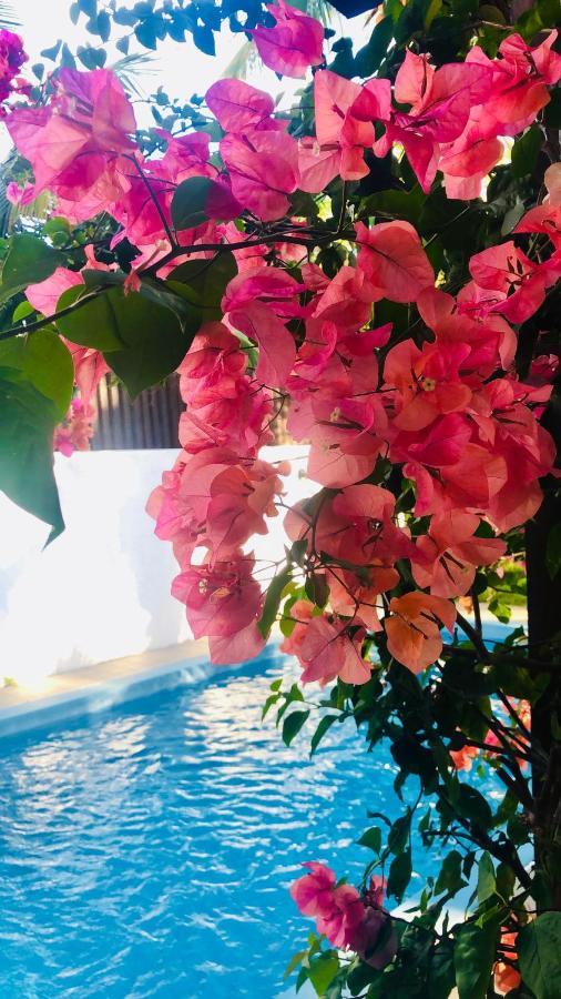 Villa North Coast Trou aux Biches Εξωτερικό φωτογραφία